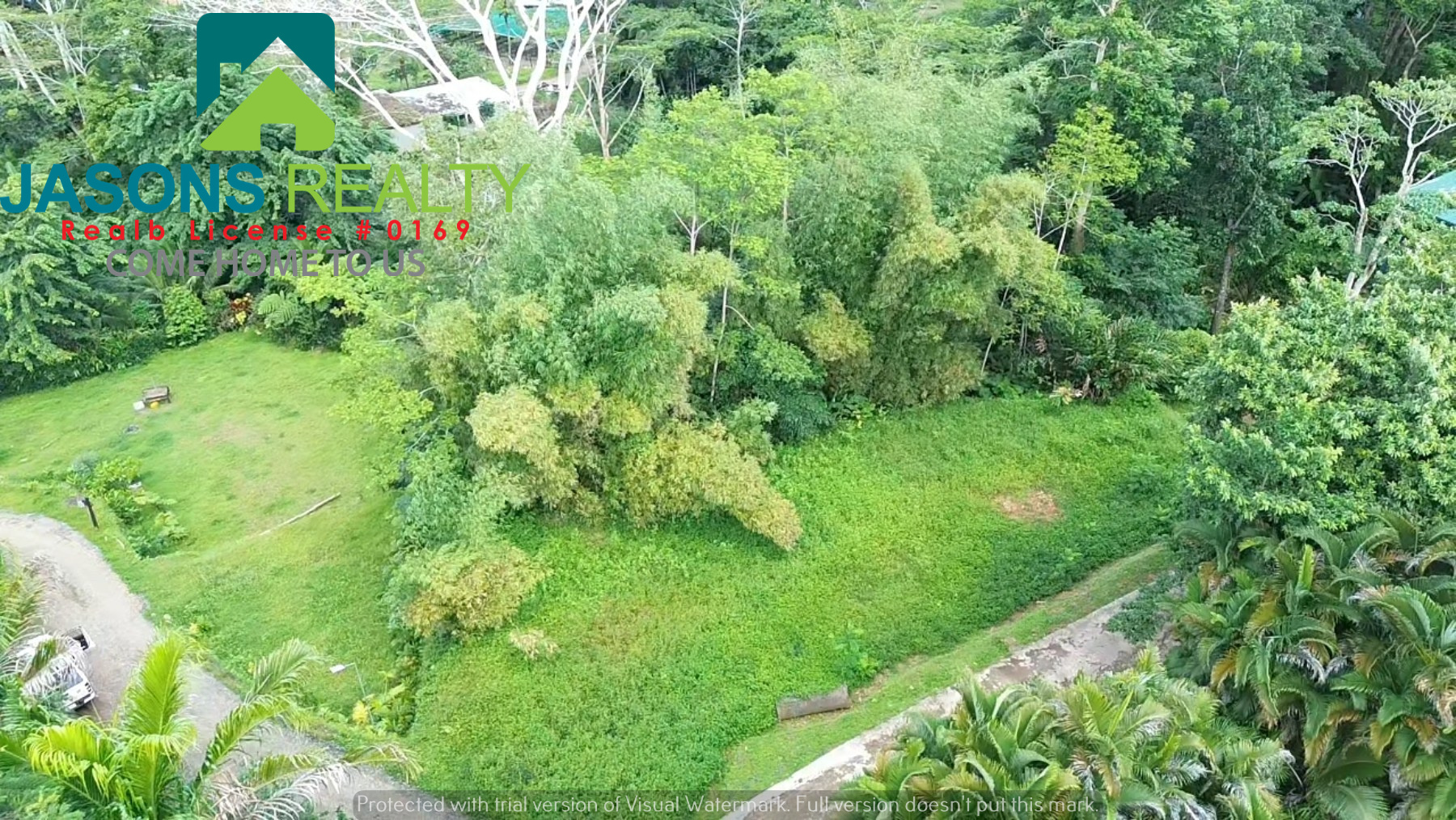 RAINFOREST