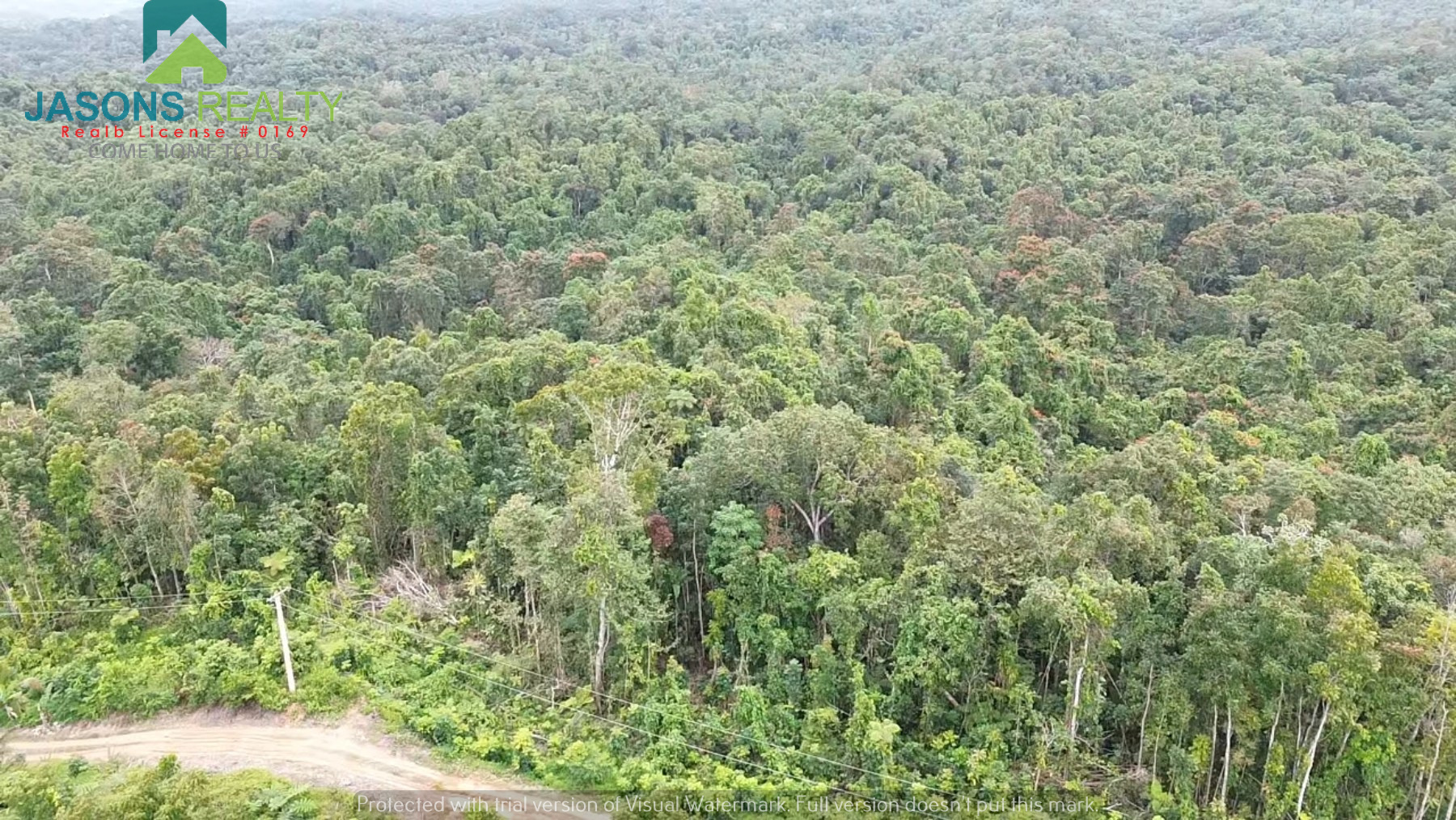 laulau